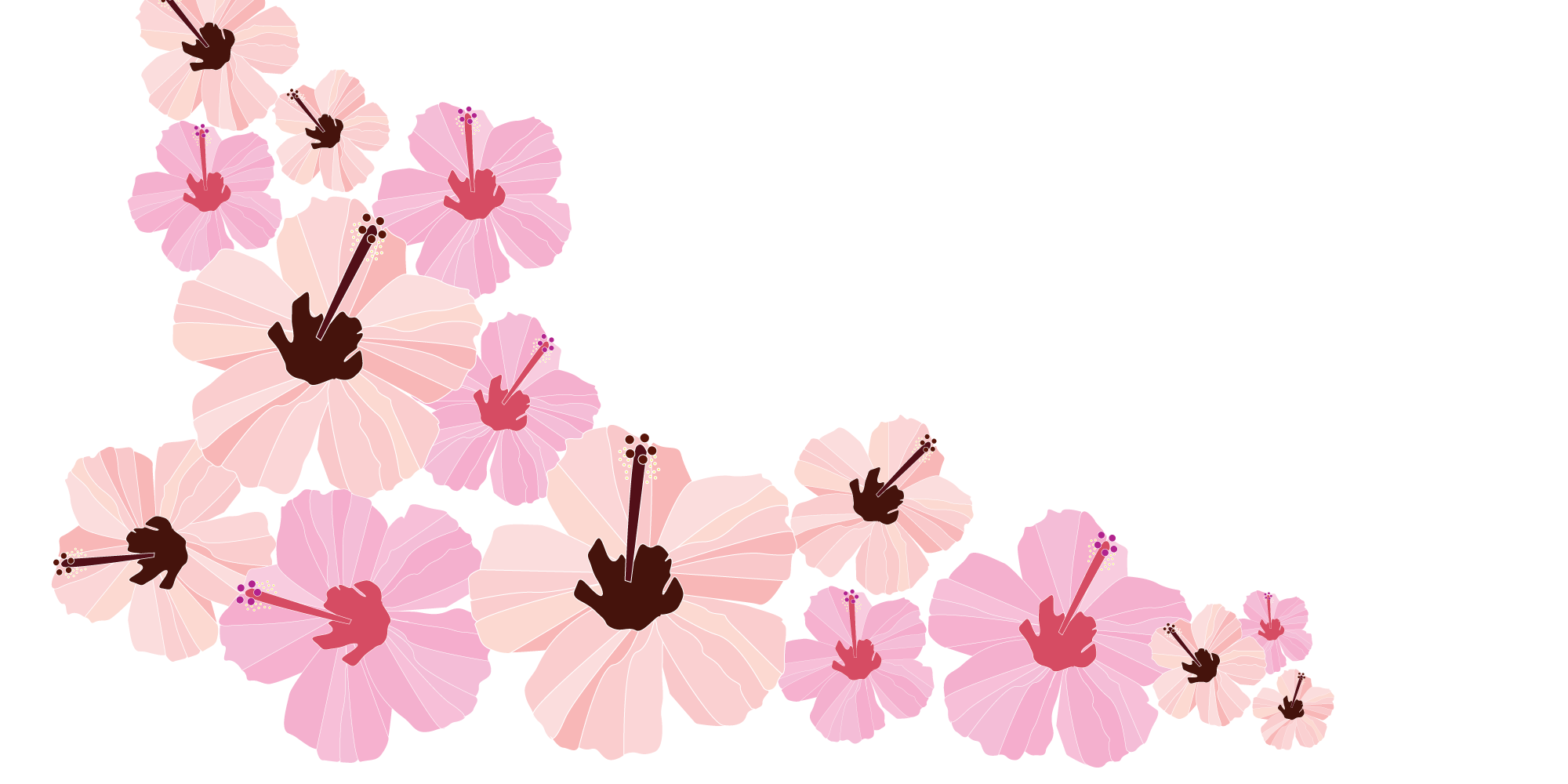 custom illustrated hibiscus